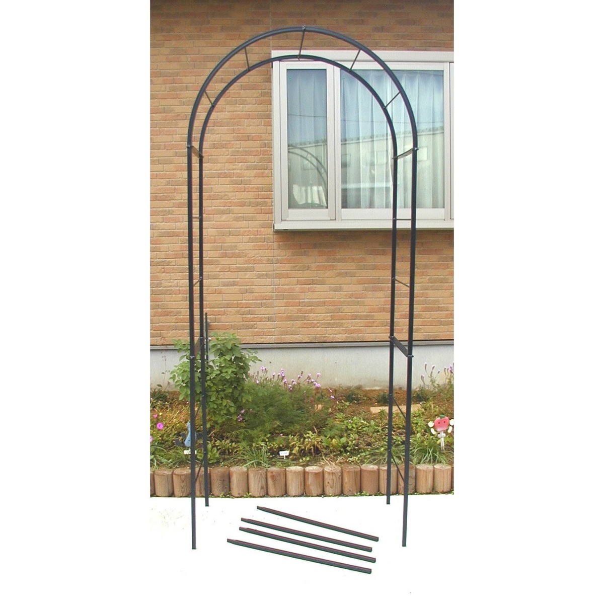 フラワーアーチ クレメント100 217